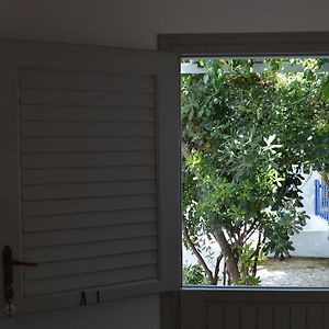 Superior Double Room Garden View